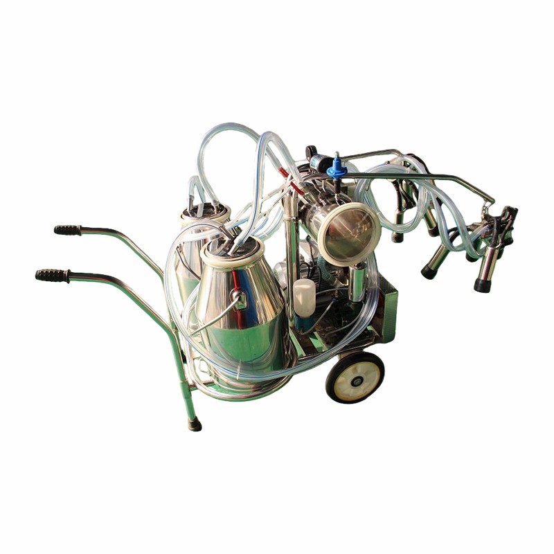 Machin elektrik pou lèt bèf