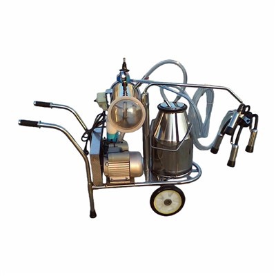 machin otomatik lèt ​​bèf